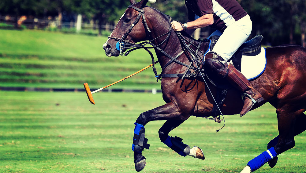 Sports | Polo, Hublot Polo Gold Cup, August, Gstaad, Switzerland