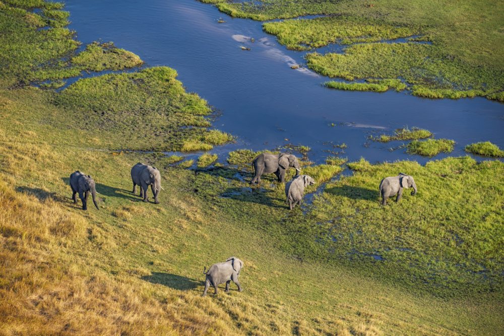 Xigera Safari Lodge, Okavango Delta, Botswana opening in 2020