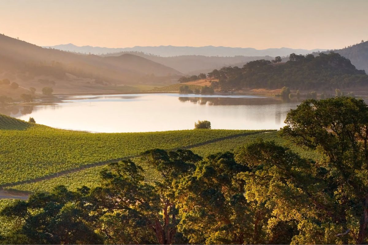 Six Senses is poised to introduce a wellness sanctuary in Napa Valley